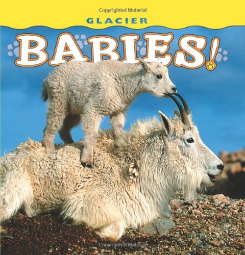 Glacier Babies! (Babies! (Farcountry Press))