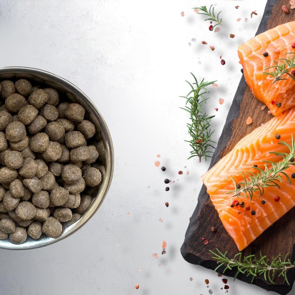 Grain Free Adult Salmon - Pienso Hipoalergénico para Perros Adultos 12 kg - Sin Cereales, elaborado con Salmón Fresco