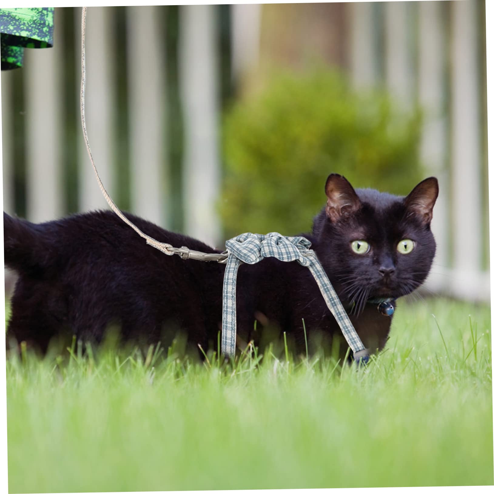 Sosoport 4sets Pettorina e Guinzaglio Per Gatti Regolabile e Leggera Per Passeggiate All Aperto Adatta Gattini Piccoli Facile Da Indossare e Comoda