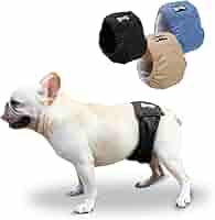 マナーベルト について♡ Amazon.co.jp: 【獣医師監修】 マナーベルト 犬 男の子 3点