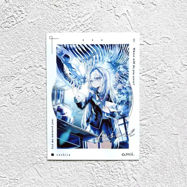 Amazon.co.jp: amii.