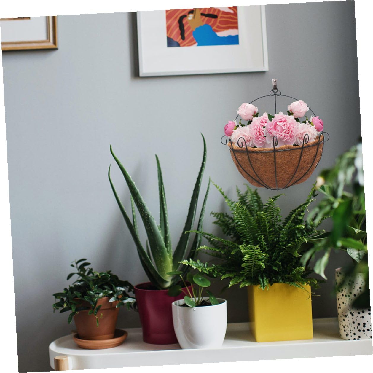 Halbkugelförmige Kokosfaser Pflanzgefäß Einlagen 30cm Natürliche Blumentopf Unterlagen für Balkon und Terrasse Atmungsaktiv Wasserabweisend Flexibel für Anzucht und Pflanzenschutz