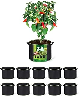 ACSTEP Grow Bags 10 Pack 5 Gallon Reusable Plant Growing Bags Fabric Pots for Planting Vegetable with Handles