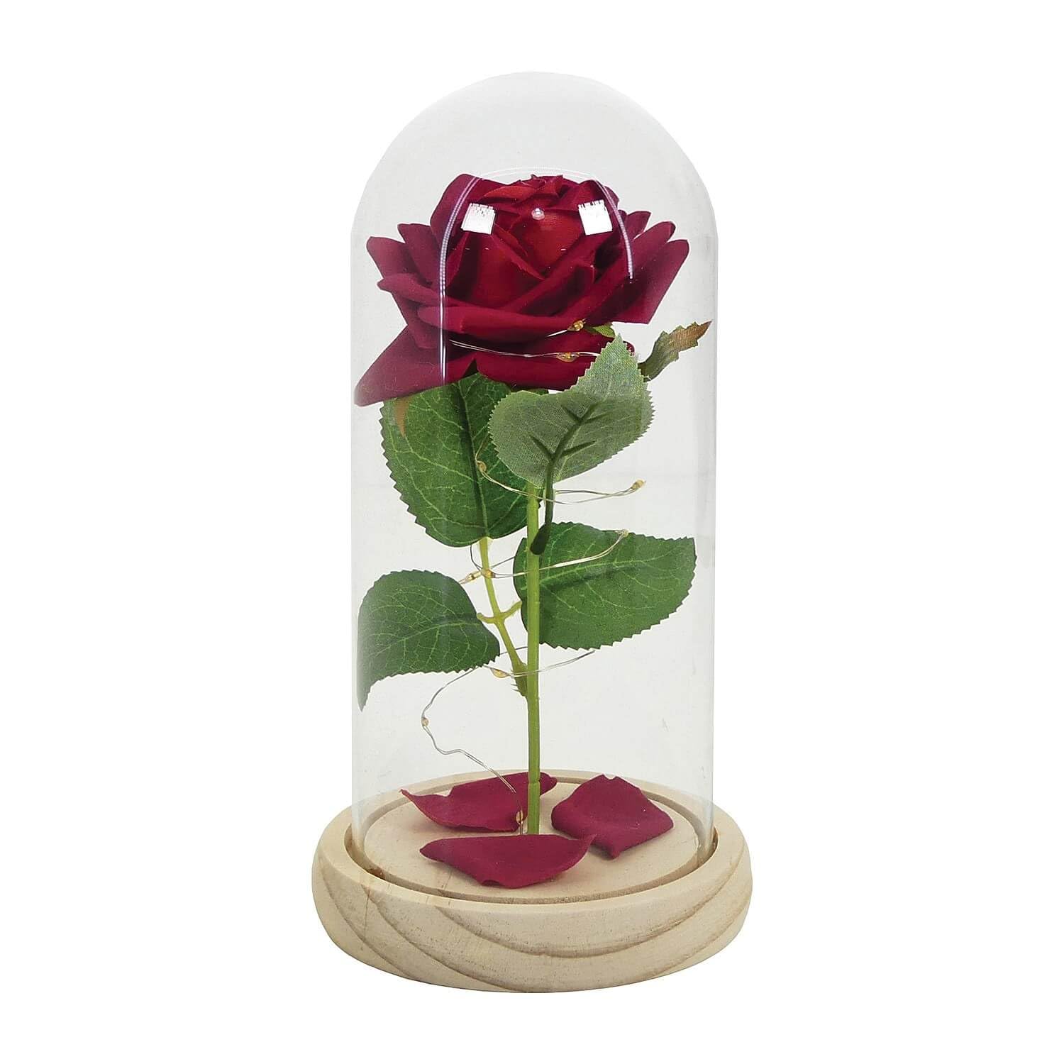Coopers of Stortford - Eternal LED Rose in Glass Dome with Wooden Base - Lifelike Bloom Forever Decorative Gift with 15 Battery Operated Lights