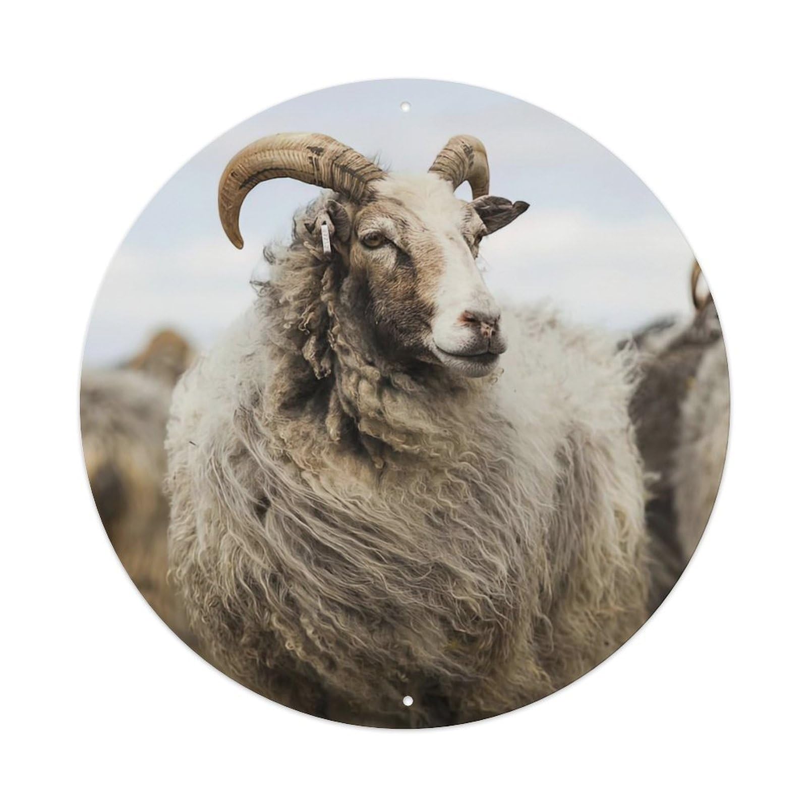 Animal Gute Sheep Vintage Metal Tin Sign Plaque Wall Decor for Cafe, Club Bar, Office, Garden Metal Poster 8x8Inch