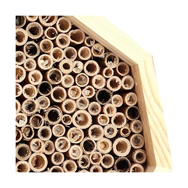 Insektenhaus, Drable Holz Insekten Bienenhaus Holz Bug Room Hotel Nistkasten, mit röhrenförmigen Kanälen, für… – Bild 8