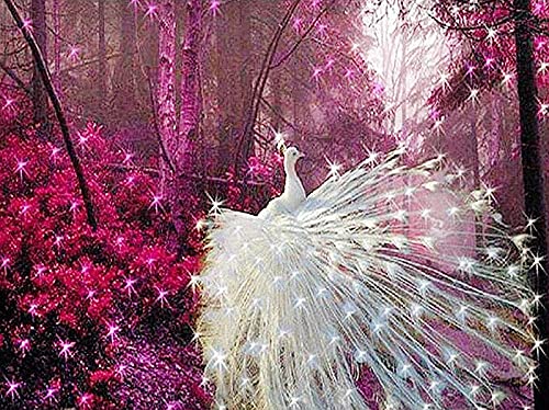 Diamond painting complet paon blanc 50x100cm pour decoration murale salon
