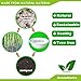 GreenWorks 100 Count 16 OZ Compostable Bowls, White Biodegradable Bagasse and Bamboo fiber Paper Bowls 5