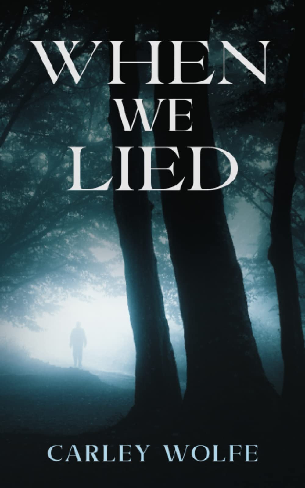 When We Lied: A Novel
