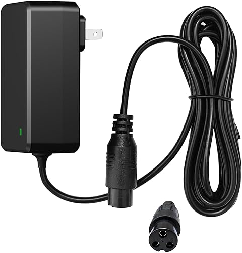 Cargador eléctrico de 24 V compatible con Razor E300, E200, E100, PR200, MX350, Sports Mod, Pocket Mod, Dirt Quad, cable de alimentación de batería