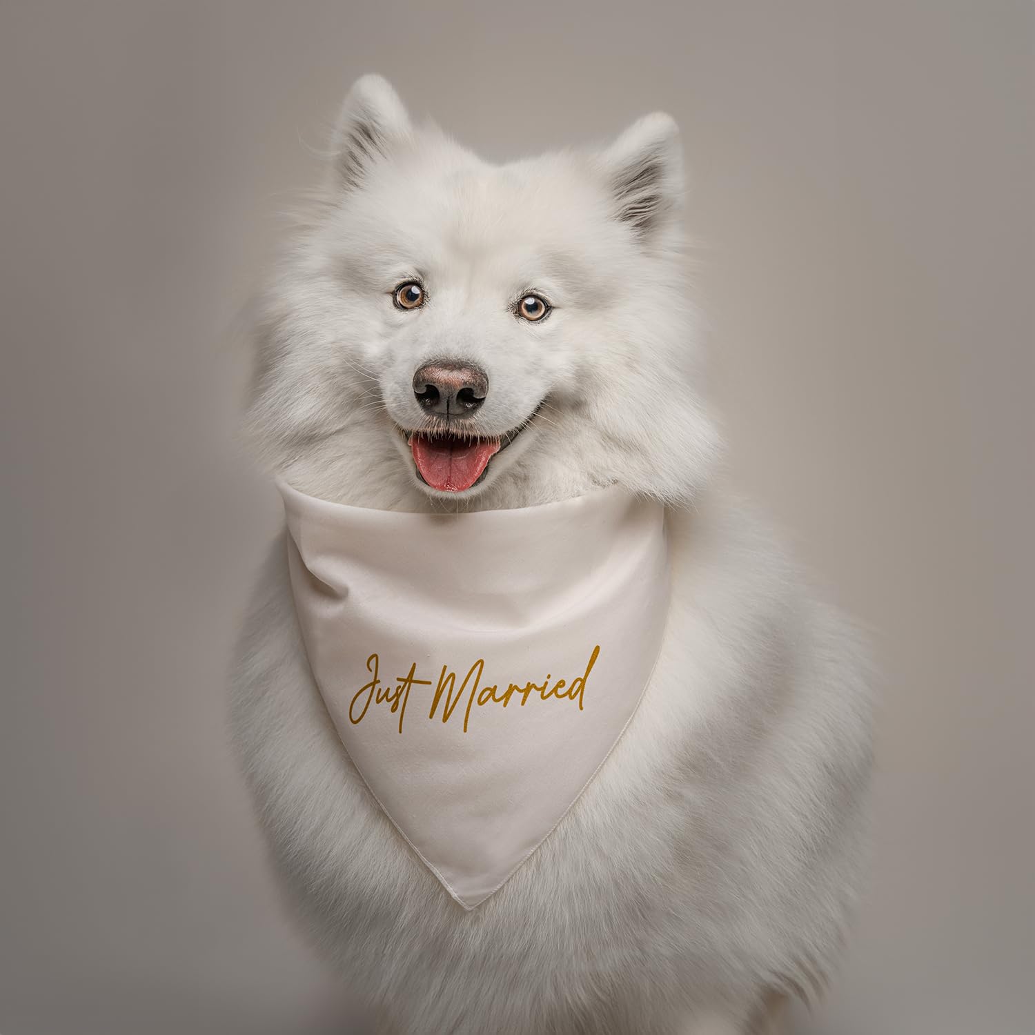 Hundehalsband Mit Hochzeitsmuster – „I Do Too“ Für Verlobung, Hochzeit & Besondere Anlässe