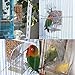 Hamiledyi No Mess Bird Cage Feeder Automatic Parrot Seed Feeders with Perch Acrylic Transparent Seed Food Container Cage Accessories for Small and Medium Parakeets Lovebirds