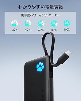 INIU Mobile Battery, Ultra-Lightweight, Compact, Slim [22.5W Fast Charging, Large Capacity 10,000mAh] Type C Mobile Battery Popular USB C USB A Power Bank (PSE Certified, Simultaneous Charging for 3