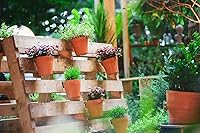 Vista 5 de HOOUU - Paquete de 30 clips de acero duro para macetas de flores de 5 a 8 pulgadas, para macetas de terracota de 5 a 8 pulgadas, para colgar plantas