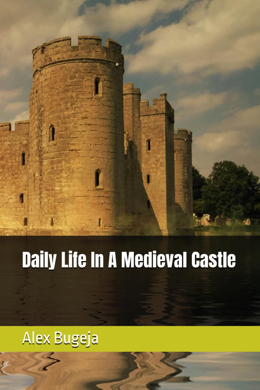 Daily Life In A Medieval Castle