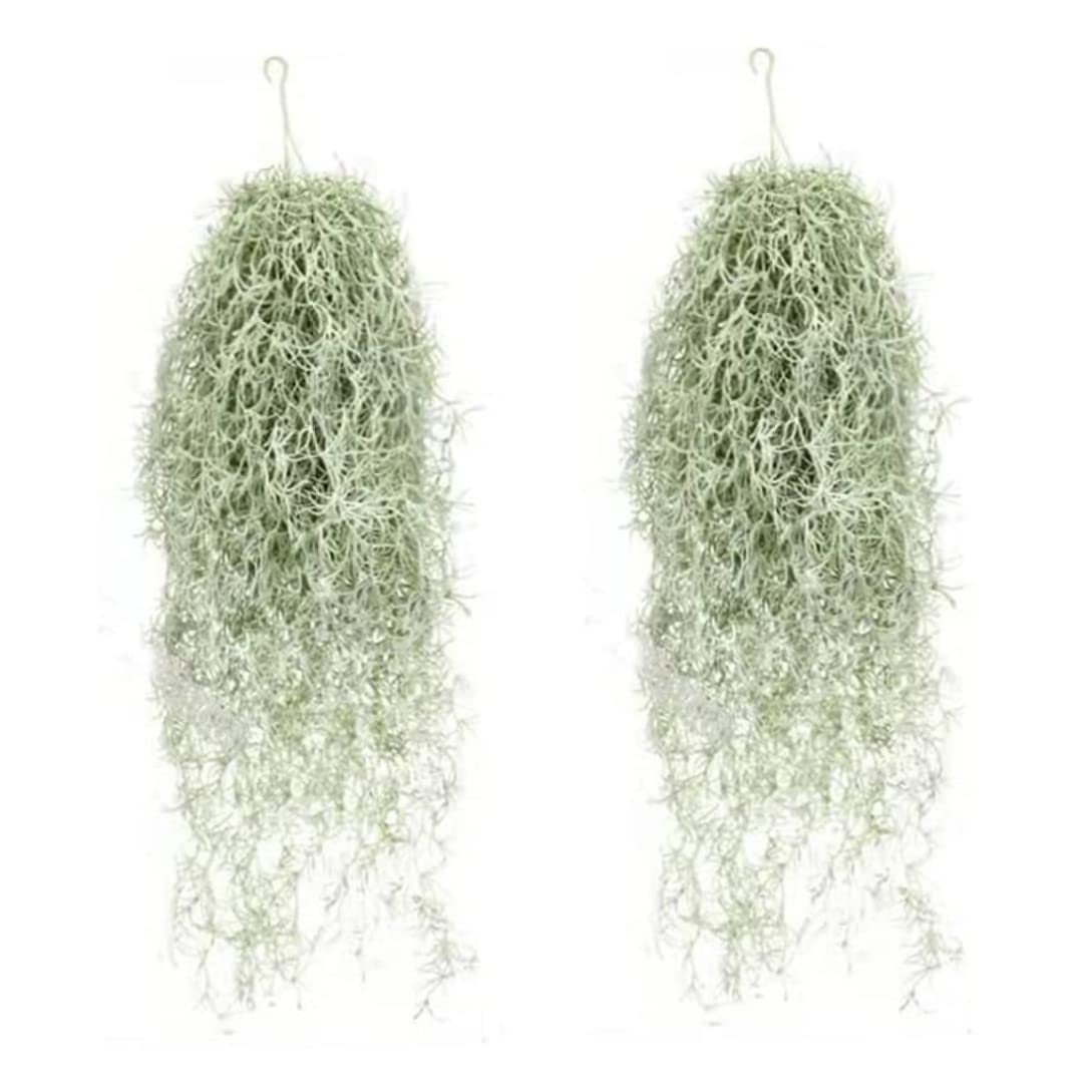 PithCogent Plastic Green Plants|Spanish Moss Artificial Hanging Moss Hanging Plastic Faux Vines for Garden Greenery Decor 2PCS