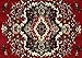 Home Dynamix Premium Sakarya Traditional Medallion Border Area Rug, Claret, 5'2