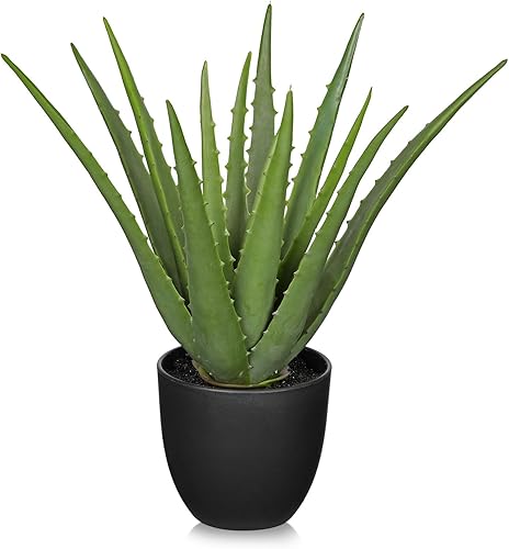 Plantas suculentas falsas de aloe vera de 13 pulgadas, suculentas artificiales grandes con maceta negra, planta de aloe sintético en maceta para