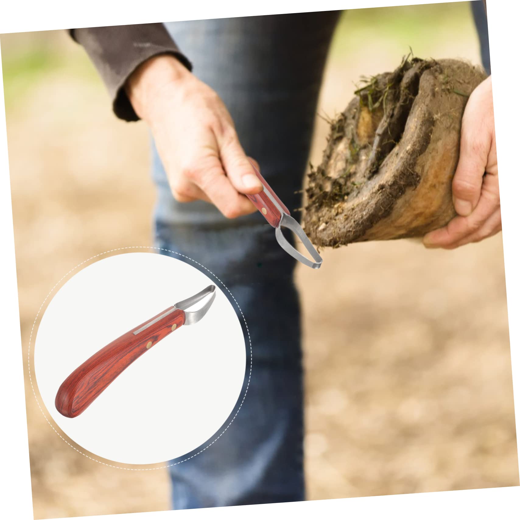 BESPORTBLE 2stücke Professionelles Hufwerkzeug Aus Manganstahl Robuster Hufschneider Für Pferde Ergonomischer Griff Leichte Handhabung Für Täglichen Gebrauch