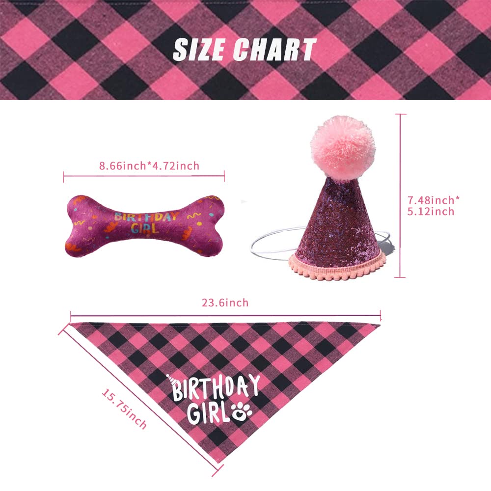Hunde-Geburtstags-Bandana 'Birthday Girl' – 66 X 30,5 Cm, Baumwolle, Für Kleine/mittelgroße Hunde