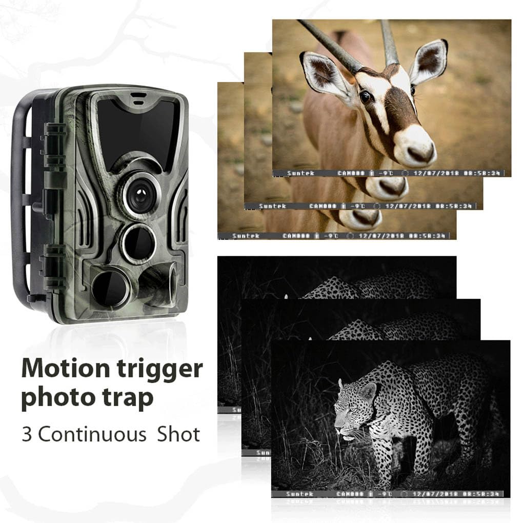 Caméra de chasse 2 pouces détection de mouvement étanche professionnelle 36 LED 20MP caméras de photographie d'animaux sauvages