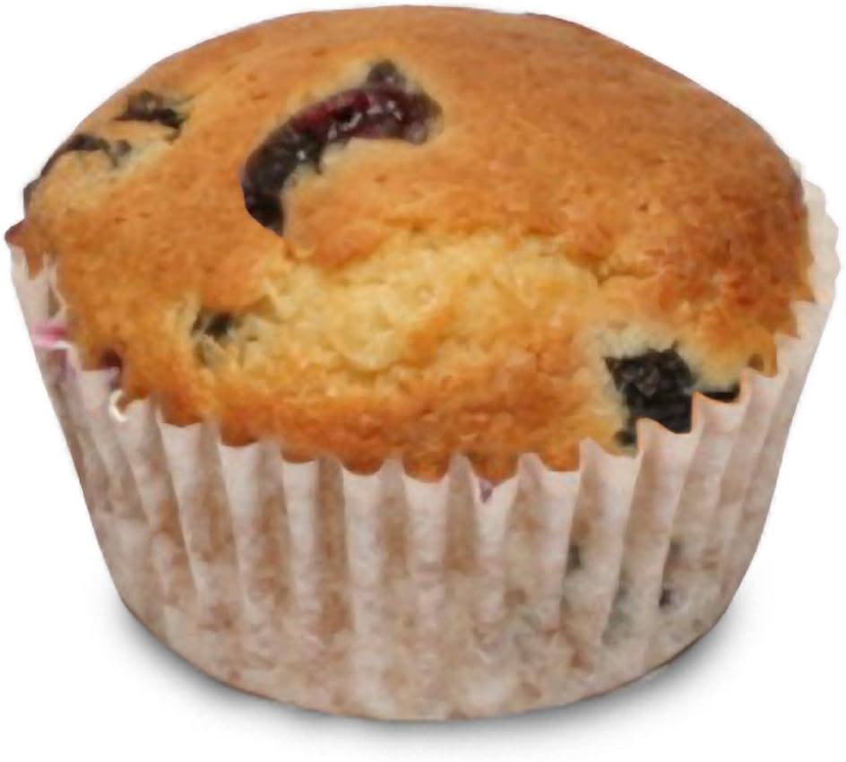 Simply Scrumptous Fat Free Blueberry Muffins