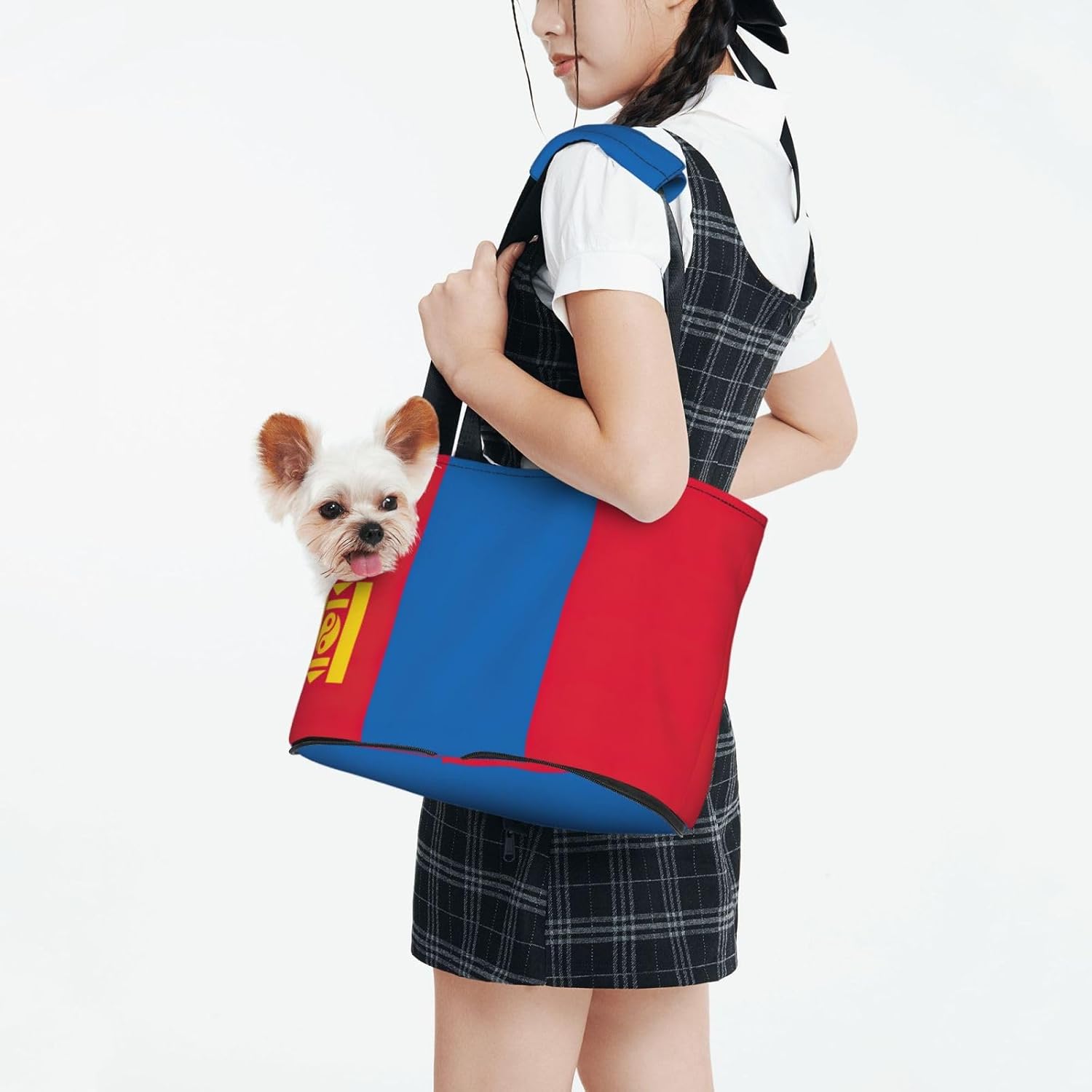 Mongolian Flag Print Portable Foldable Shoulder Bag for Travel,with Collar Hook and Handle Pad,Cute Stylish Design