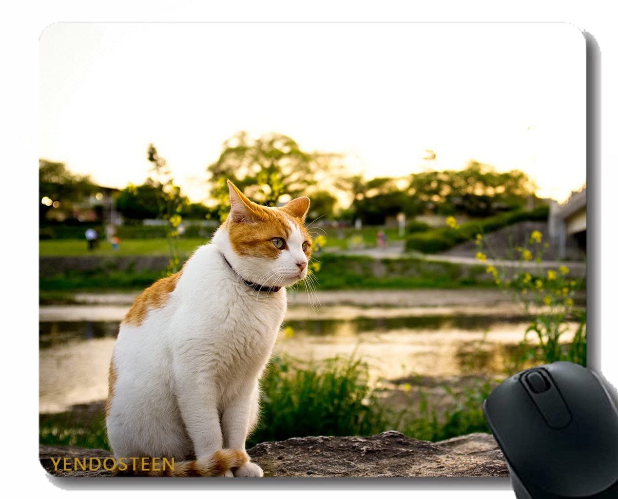 Amazon.co.jp: 色のゲーミングマウスパッドカスタムデザインマット、猫