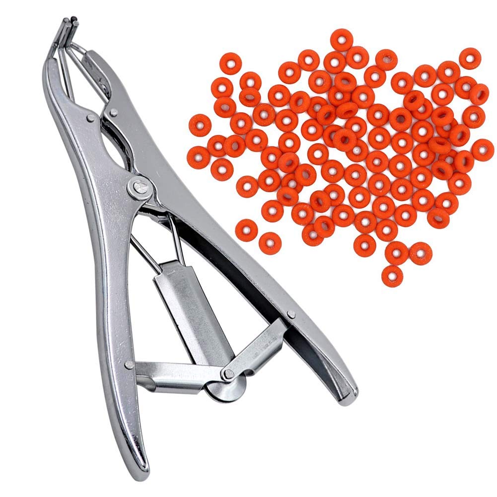 Buy MACGOAL Castration Tool and 100 Pieces Rubber Bands Castrator Bander Castration Plier