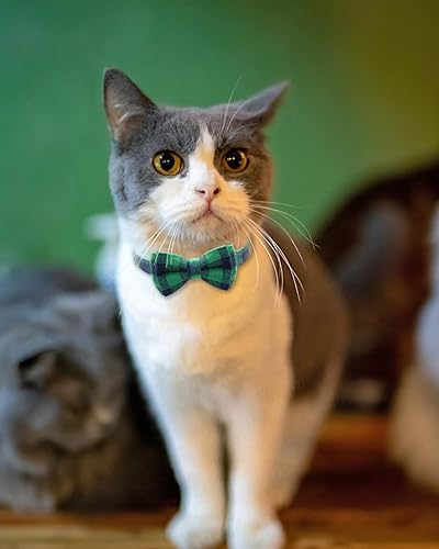 Vista 15 de Collar Joytale con corbatín y campana, lindos patrones de cuadros, 1 o 2 unidades de collares de seguridad para gato, Rojo