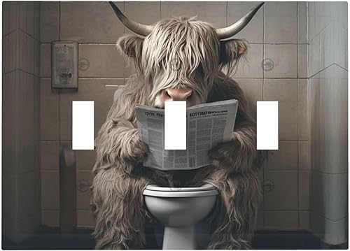 Vista 470 de Cubiertas decorativas de salida de estrella de mar playera, tablero de madera azul de concha de mar de 1 banda, decoración individual GFCI, placa