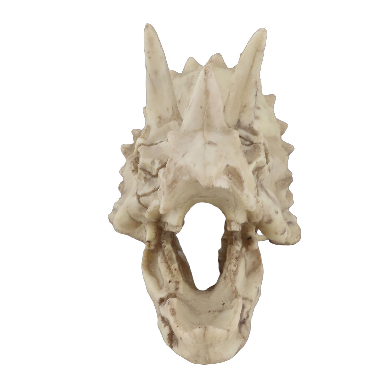 Fdit - Figura Decorativa de Resina de Dinosaurio, diseño de Calavera de imitación con Esqueleto simulado