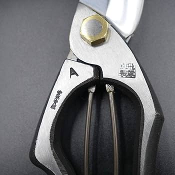 61aOv6khMqL._AC_UF350,