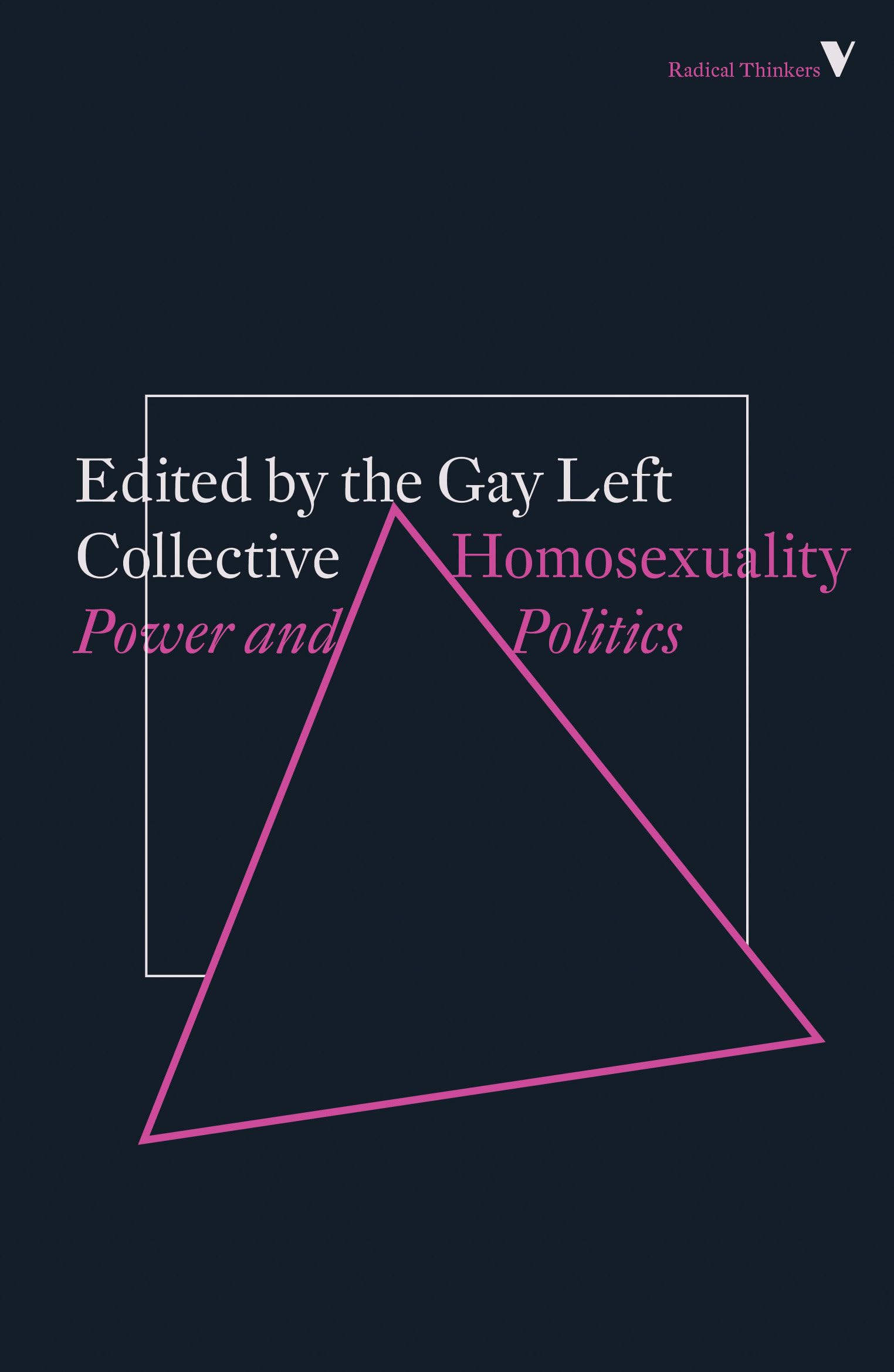 Homosexuality: Power and Politics (Radical Thinkers Set 17)