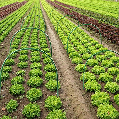 Rtway Greenhouse Hoops, 6 Pack Plant Support Garden Stakes, Rust-Free Grow Tunnel 4Ft Long Steel With Plastic Coated Support Hoops For Garden Fabric, Garden Netting - 18.9"H X 18.9"W #TOP5