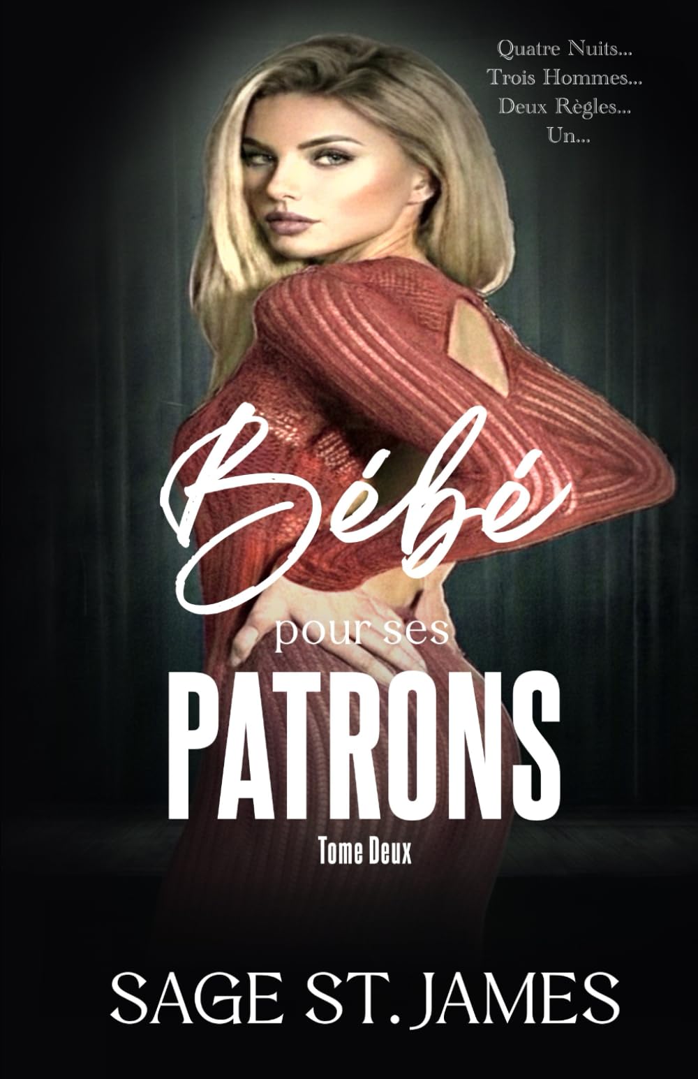 Bébé pour ses Patrons: Grossesse accidentelle, milliardaires possessifs et harem inversé (Bébé Secret pour ses Patrons)