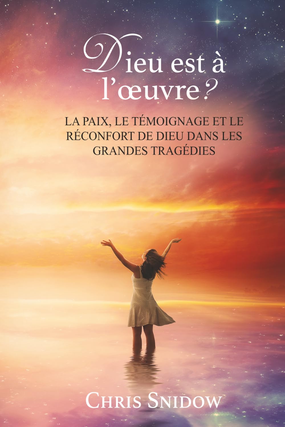 Dieu est à l'œuvre ?: LA PAIX, LE TÉMOIGNAGE ET LE RÉCONFORT DE DIEU DANS LES GRANDES TRAGÉDIES