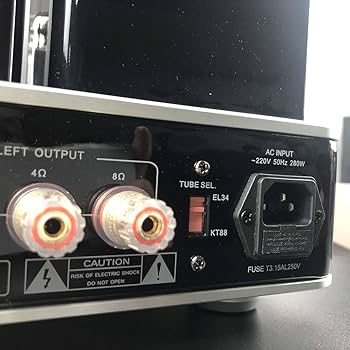 Amazon.com: Willsenton R8 KT88/EL34 x4 Tube Amplifier