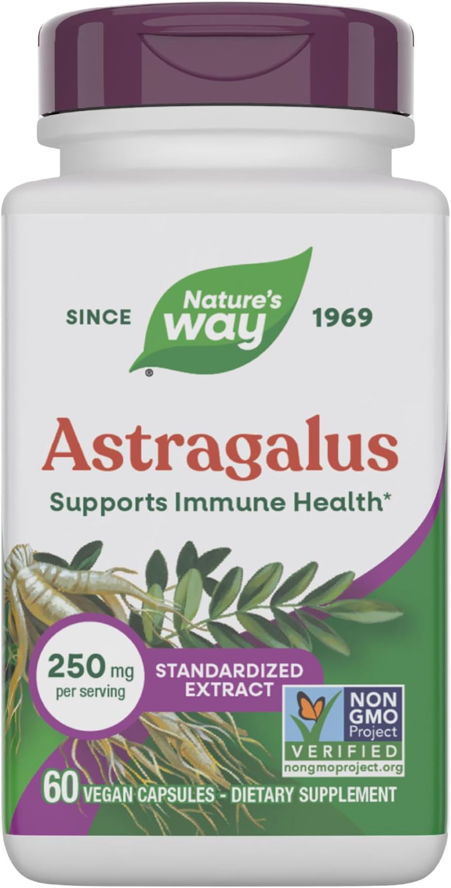 Astragalus Premium Extract, Supports Immune Health*, 250 mg Extract per Serving, Non-GMO Project Verified, 60 Vegan Capsules (Packaging May Vary)