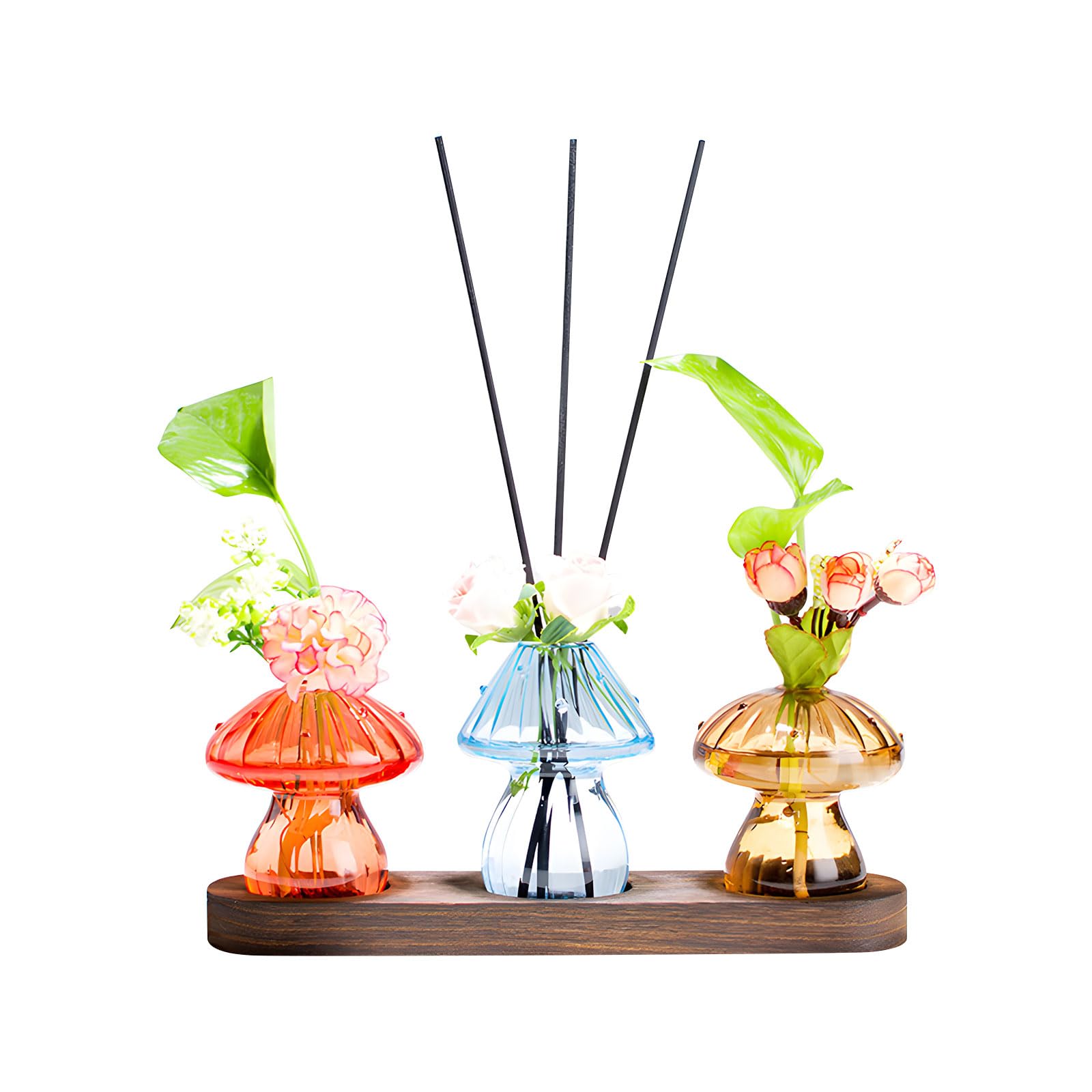 Terrarios de cristal para decoración de oficina en casa y salón