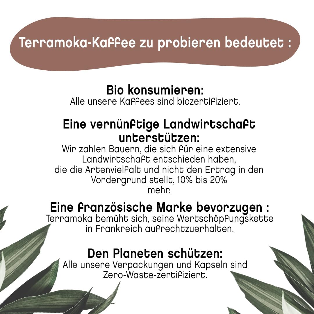 TERRAMOKA - Exzellenter Bio-Kaffee - 100% reiner Arabica aus Peru - Fruchtig, nuanciert und rassig - 300 Kapseln Kompatibel Zero Waste - Mr Albert- Frankreich