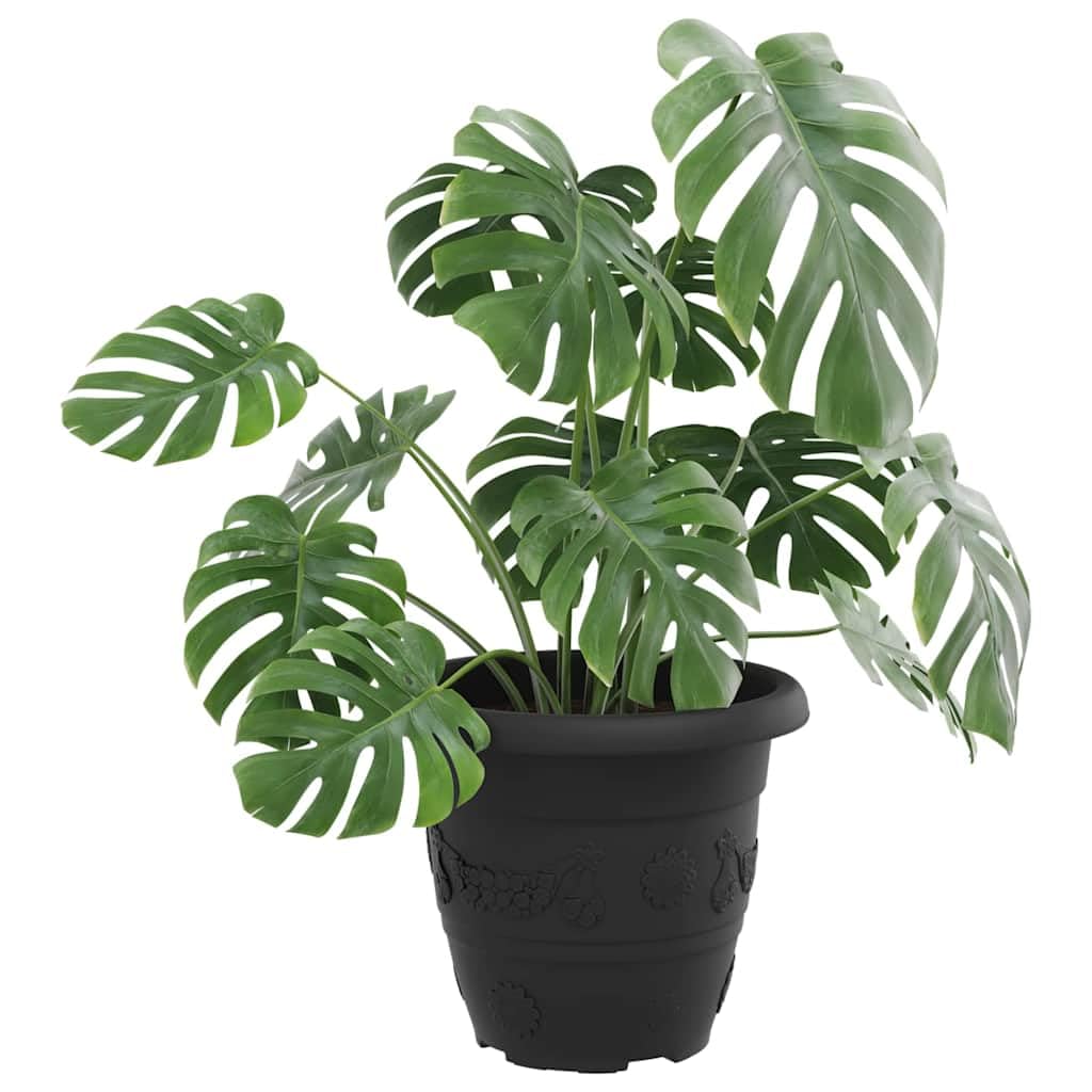 24er Set Blumentopf Rund Schwarz Ø 26 cm, Moderner Pflanztopf aus Robustem Kunststoff für Garten Balkon und Terrasse, Pflanzkübel mit Entwässerungslöchern und Gerolltem Rand, 21,5 cm Hoch