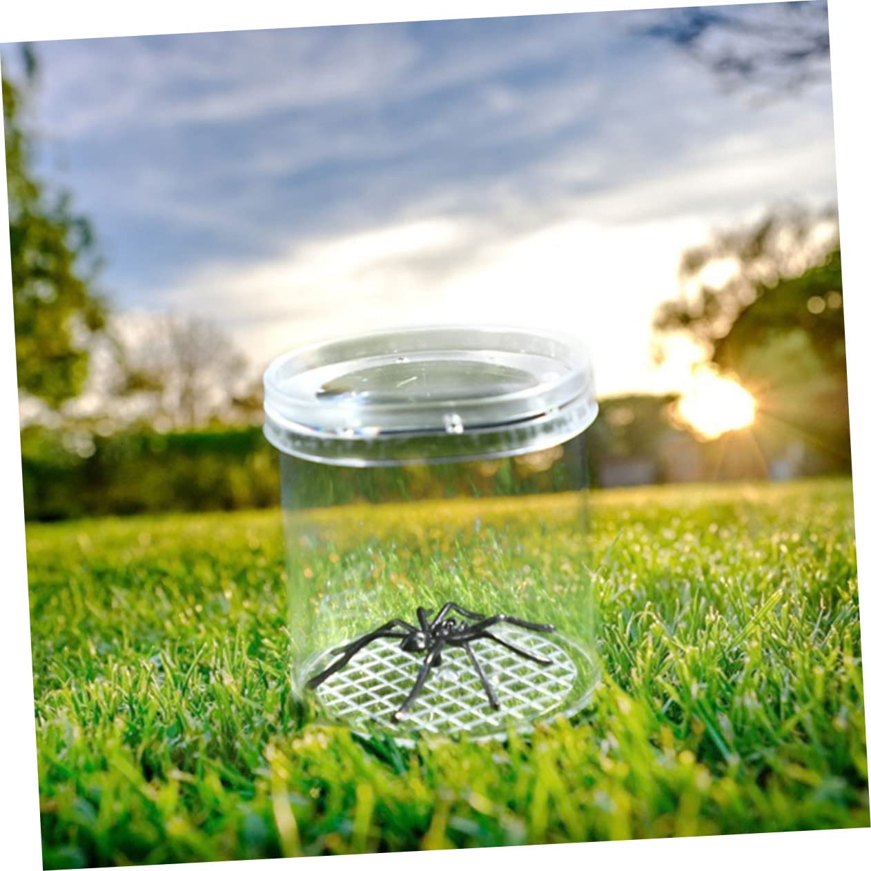 Caja de Observación de Insectos Portátil de Plástico 20 Piezas | Orificios de Renovación de Aire, para Flores y Rocas, Formato Compacto para Exploración