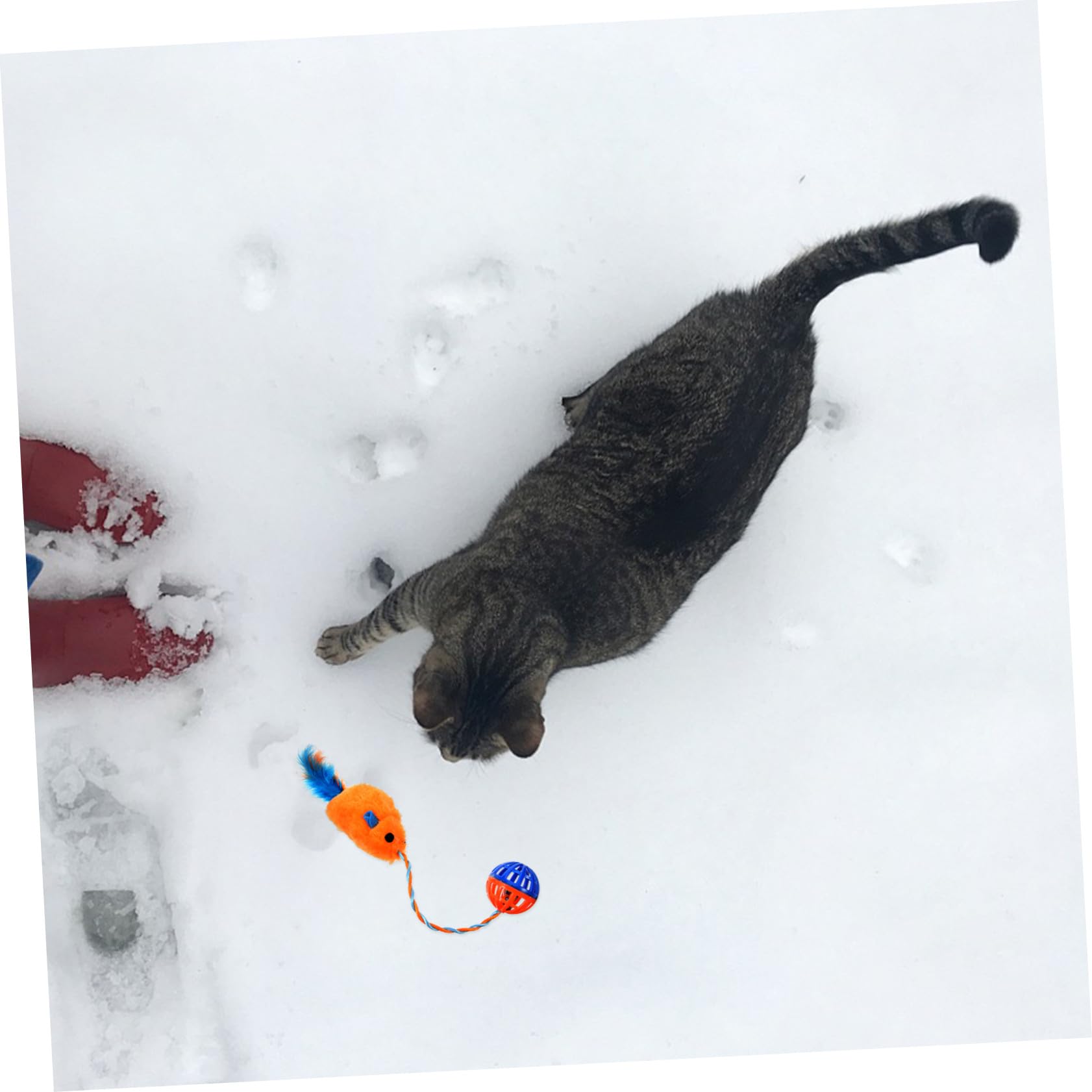 ERINGOGO Chat Interactif avec Souris Peluche et Clochette Plastique Orange Intérieur pour Chaton Accessoire de Capture et Stimulation Mentale