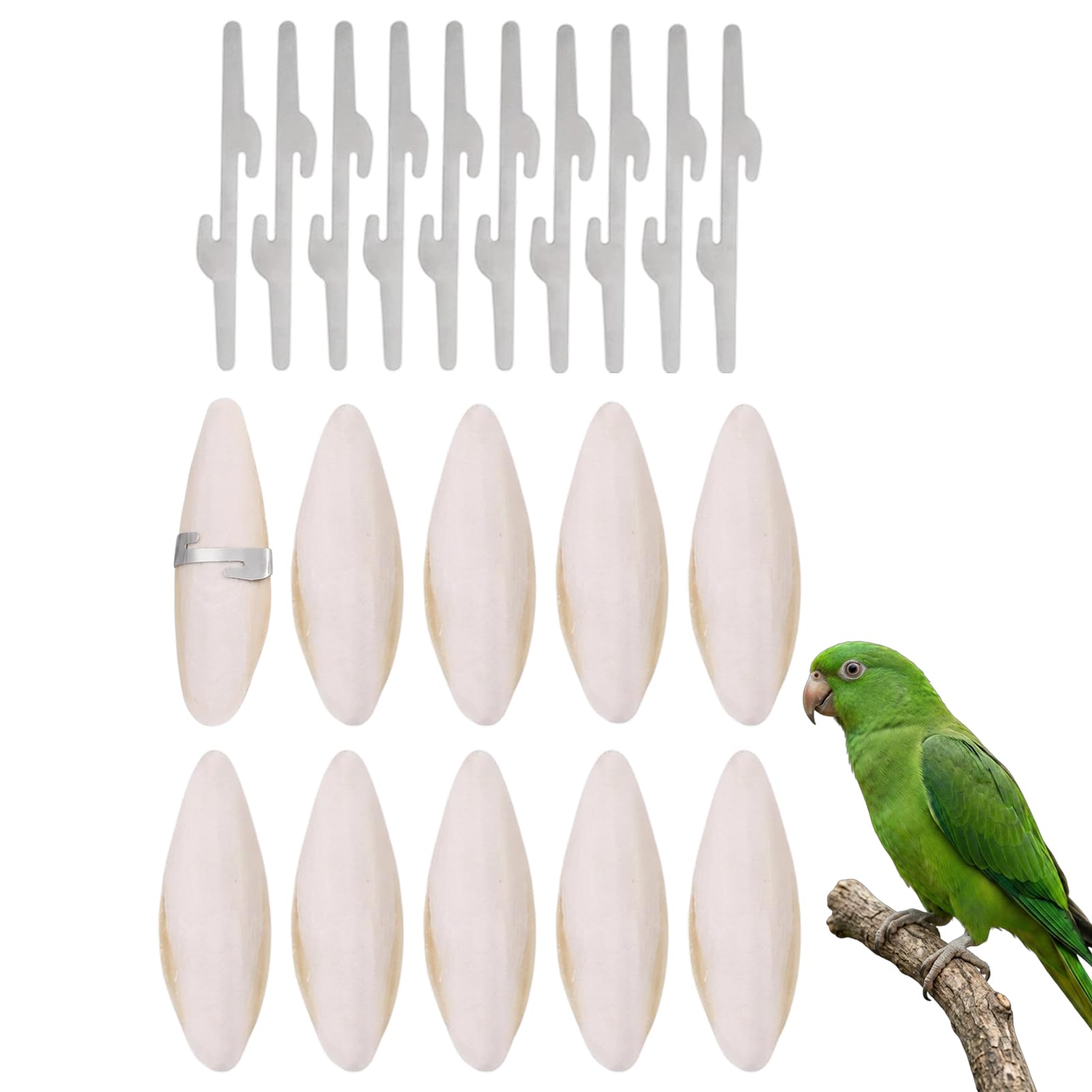 Cuttlefish Bone, Cuttlefish Bone for Tortoise, 10 Pieces Natural Cuttlebone with Clips, Parrot Chewing Toy, Bird Mineral Supplement, Small Animal Dental Care, Pet Beak Maintenance, Calcium Rich Treat