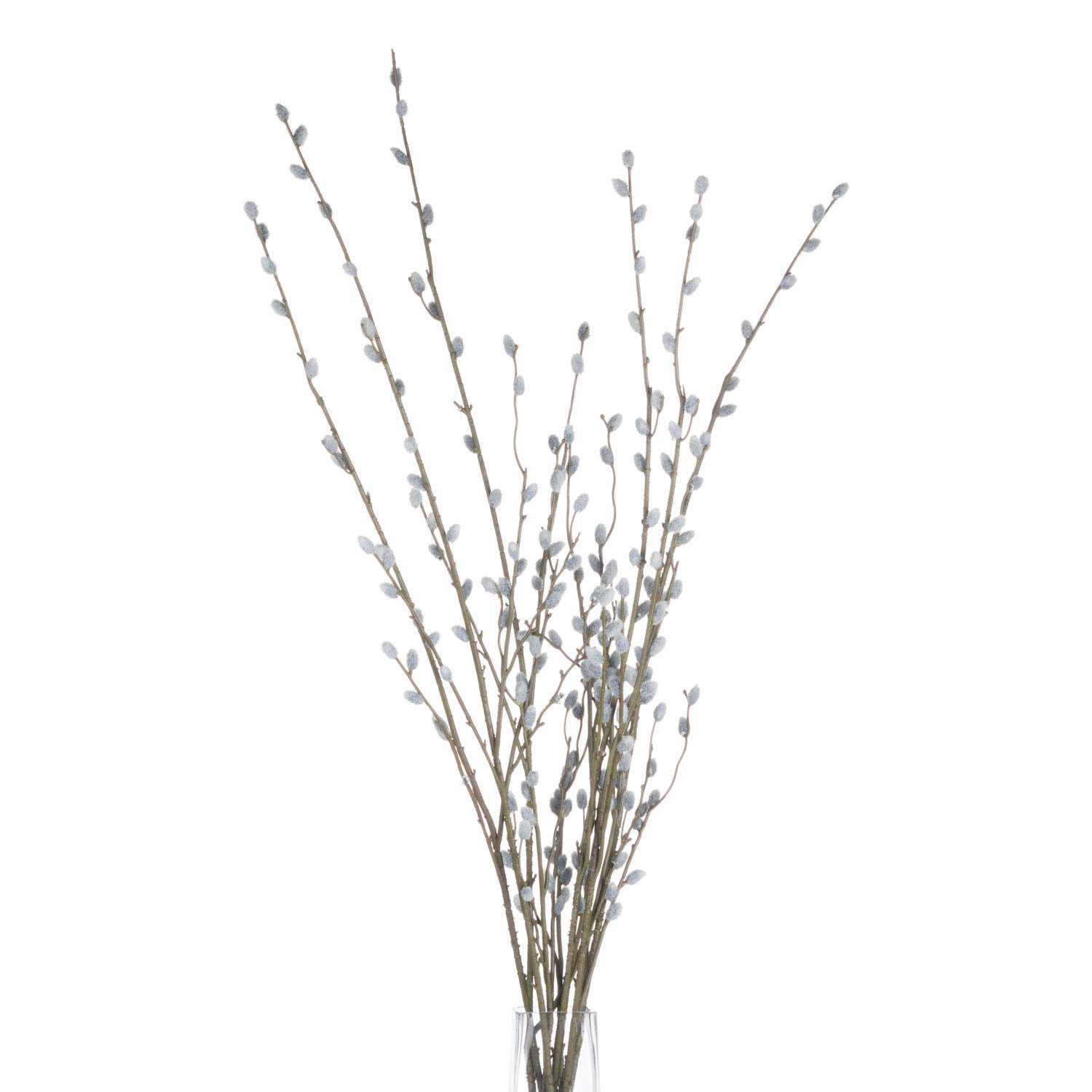 The Recipe Pussy Willow Branch, one size