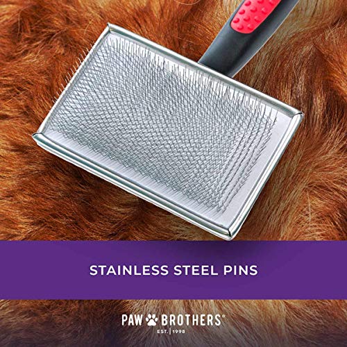 Ryan's Pet Supplies Paw Brothers Flat Slicker Brush For Dogs, Medium, 3.5 In X 1.625 In #TOP2