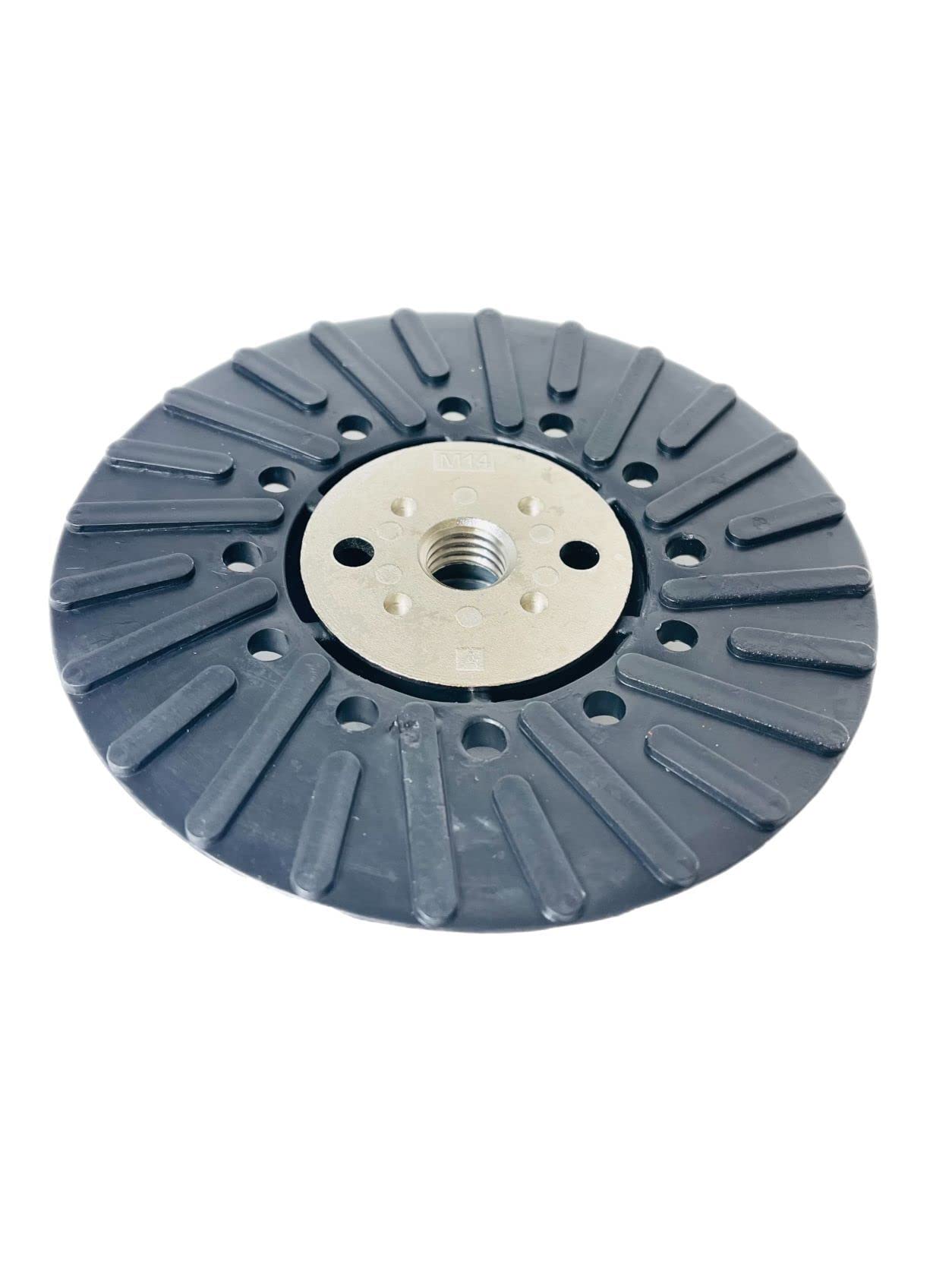 1 plato de apoyo de 125 mm + 100 discos de fibra de vidrio de 125 mm P24.