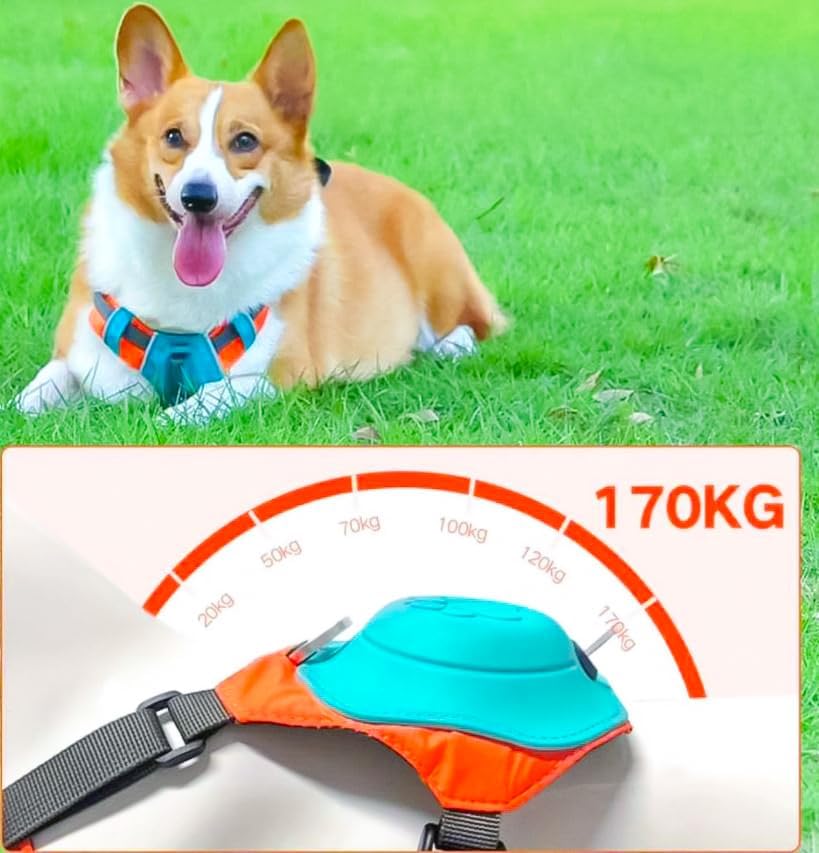 Köpek Tasması Gövdelik Ve Göğüslük Otomatik Toplama Rahat Ve Konforlu Yürüyüş Tasma (XS) - Görsel 4