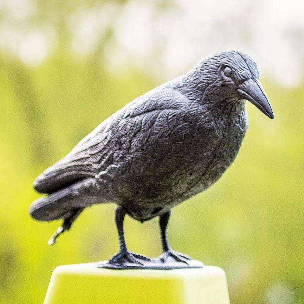 ♡最終値下げ♡カラス オブジェ 鳥よけ インテリア 防鳥グッズ 害鳥対策 Amazon.co.jp: カラス 置物 鳥よけ 鳥撃退グッズ 鳩よけグッズ カラス